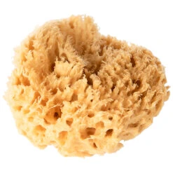 Éponge De Bain Naturelle